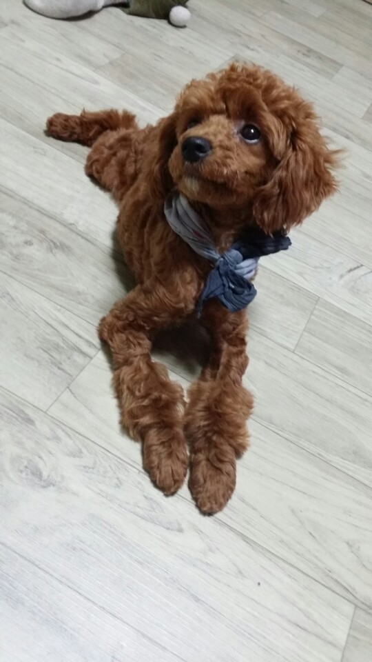 KakaoTalk_20140520_095851499.jpg
