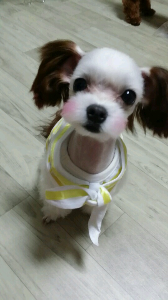 KakaoTalk_20140706_001809702.jpg