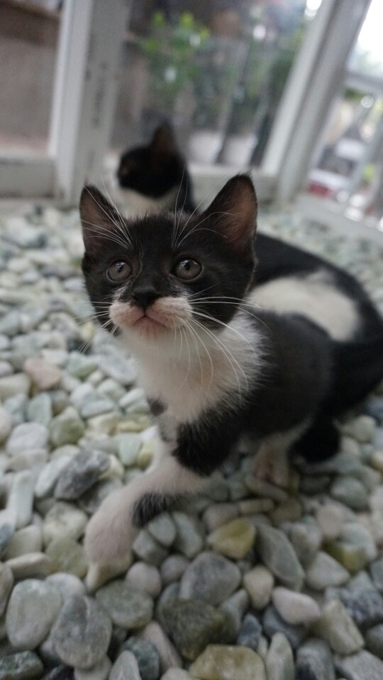 KakaoTalk_20140816_215023070.jpg