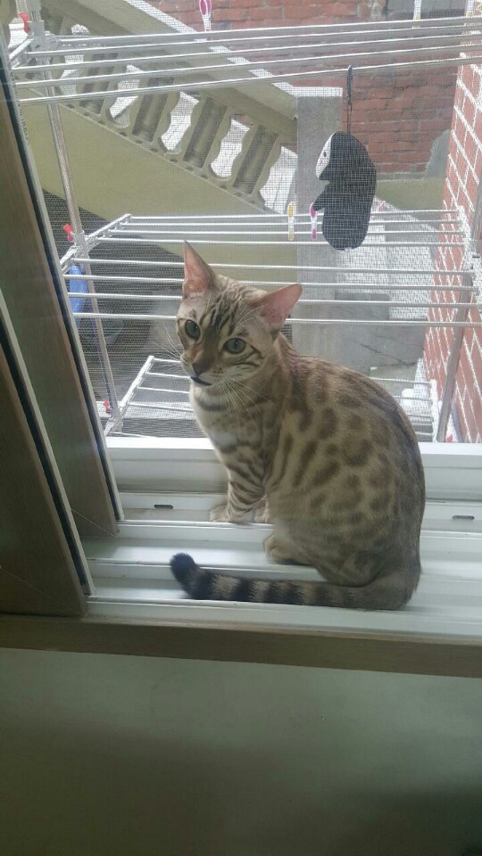 KakaoTalk_20160430_232424931.jpg