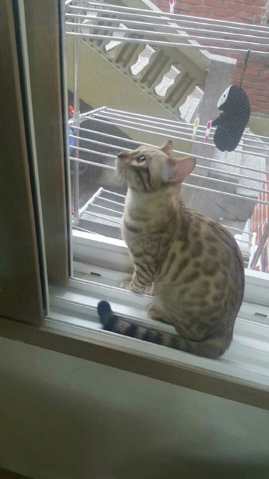 KakaoTalk_20160430_232423721.jpg