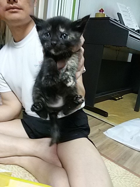201605~4 - 복사본.JPG
