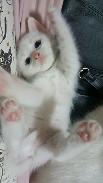 둘째.jpg