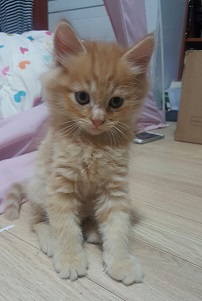 버터4.jpg