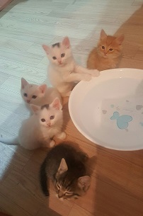 다섯아가4.jpg