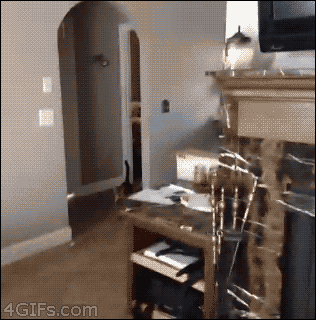 fdd0e95a757d02622d689d1cb77b86b8.gif
