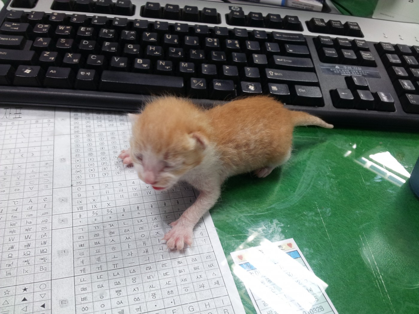 20131113_135105.jpg