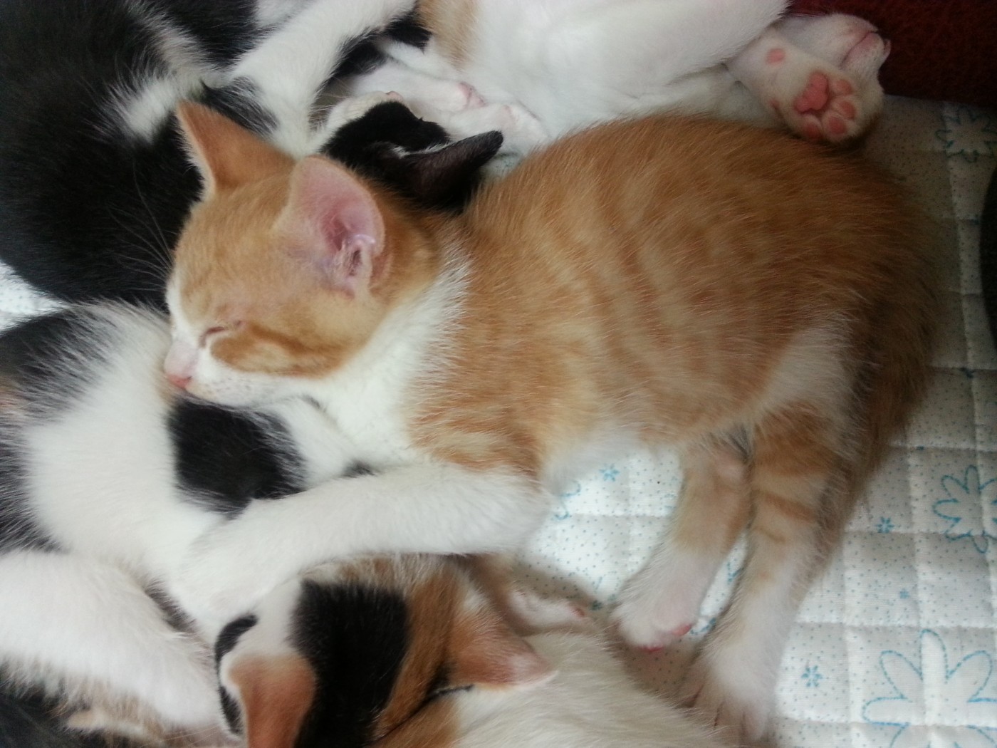 20140220_192513.jpg