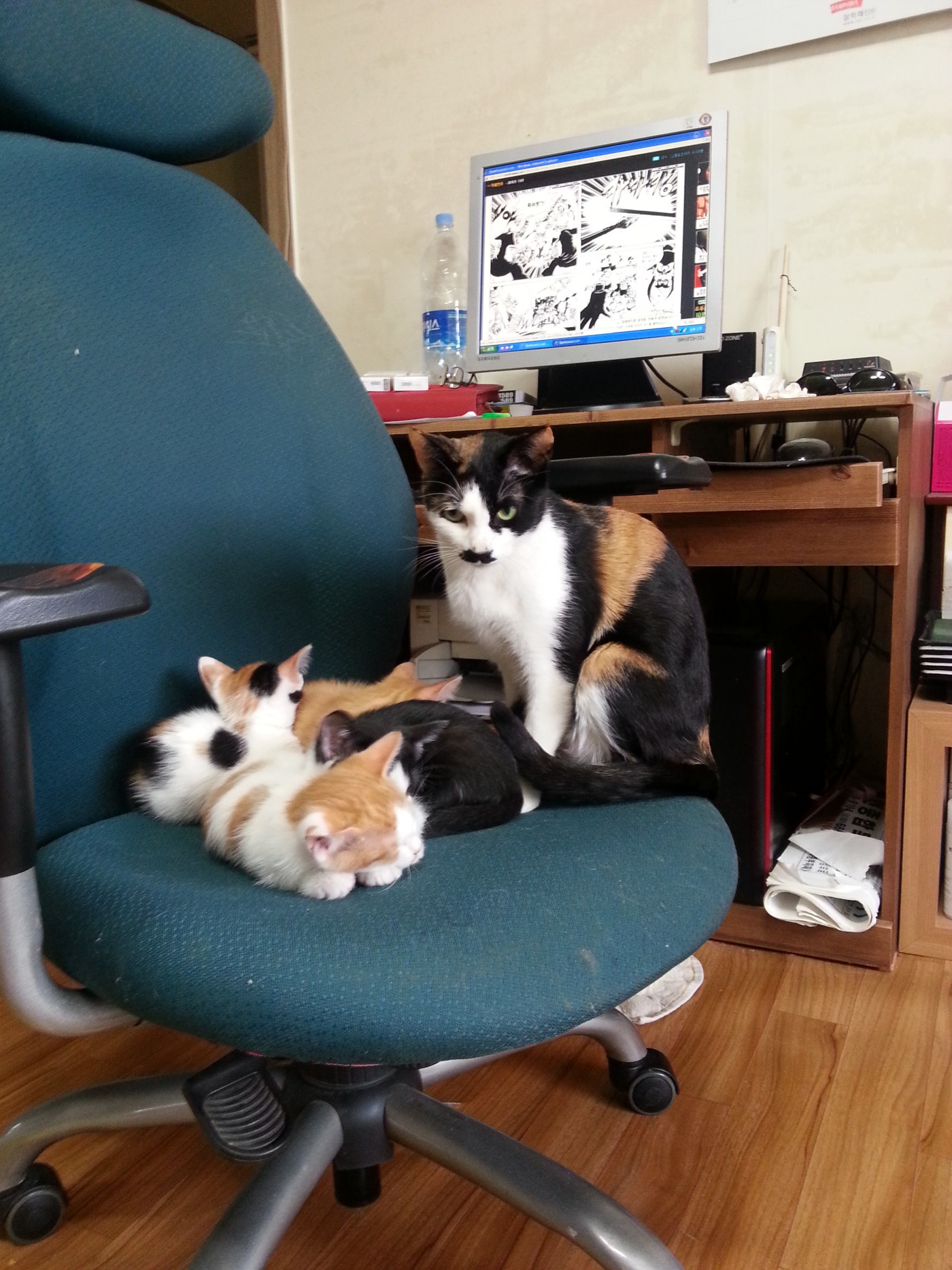 20140301_142459.jpg