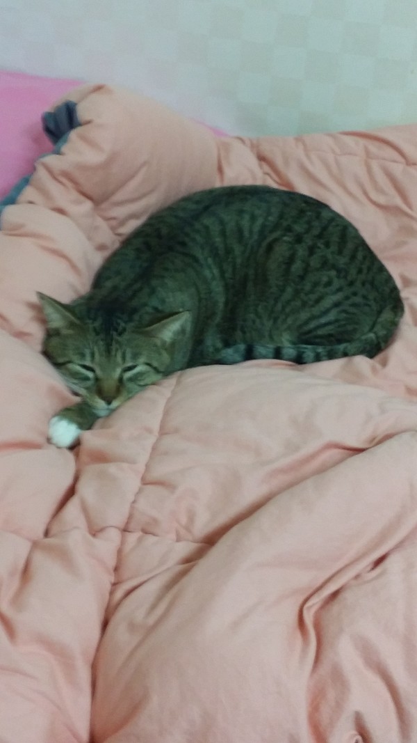 20140206_204535.jpg