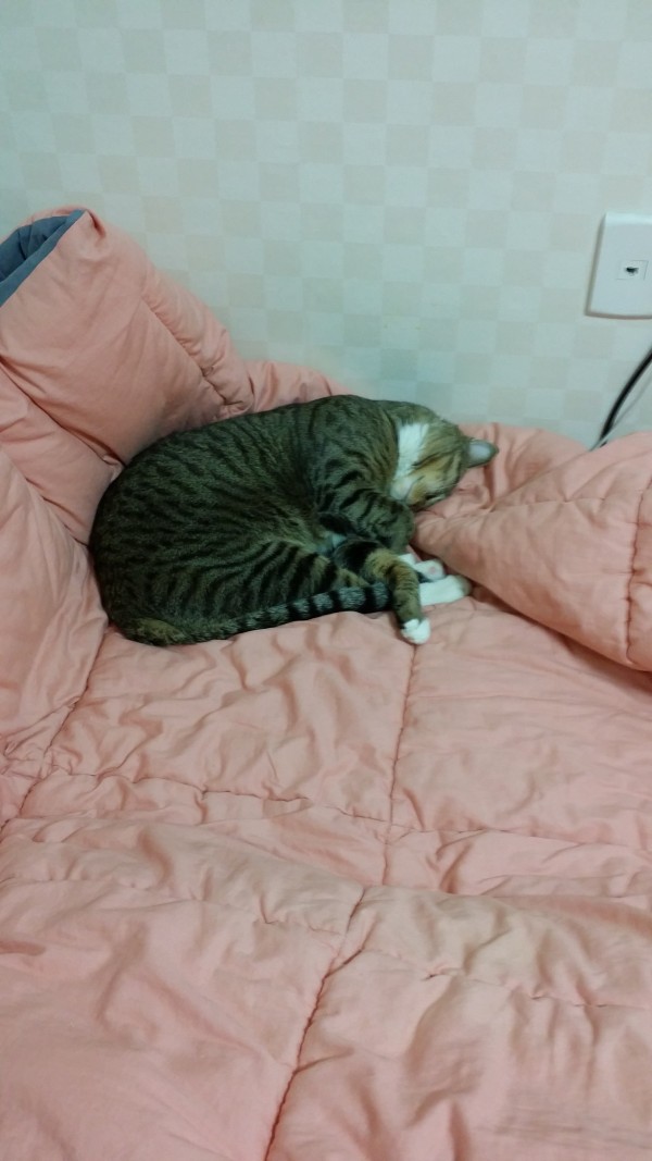 20140213_182418.jpg