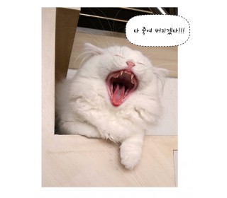 마카사진_9화.jpg
