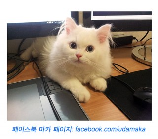 10화_마카사진.jpg