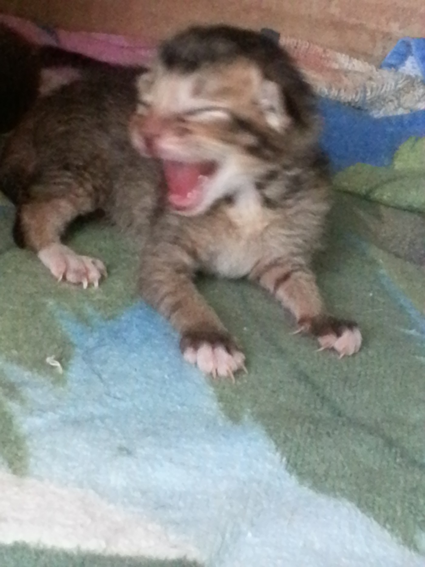 20140530_124549.jpg