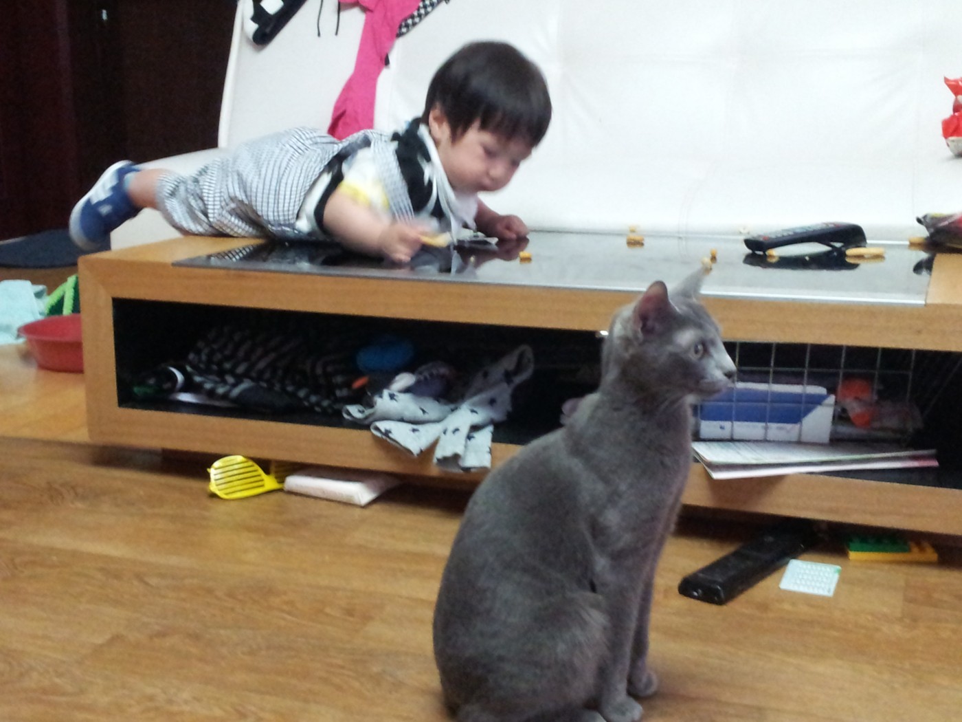 20140518_185349.jpg
