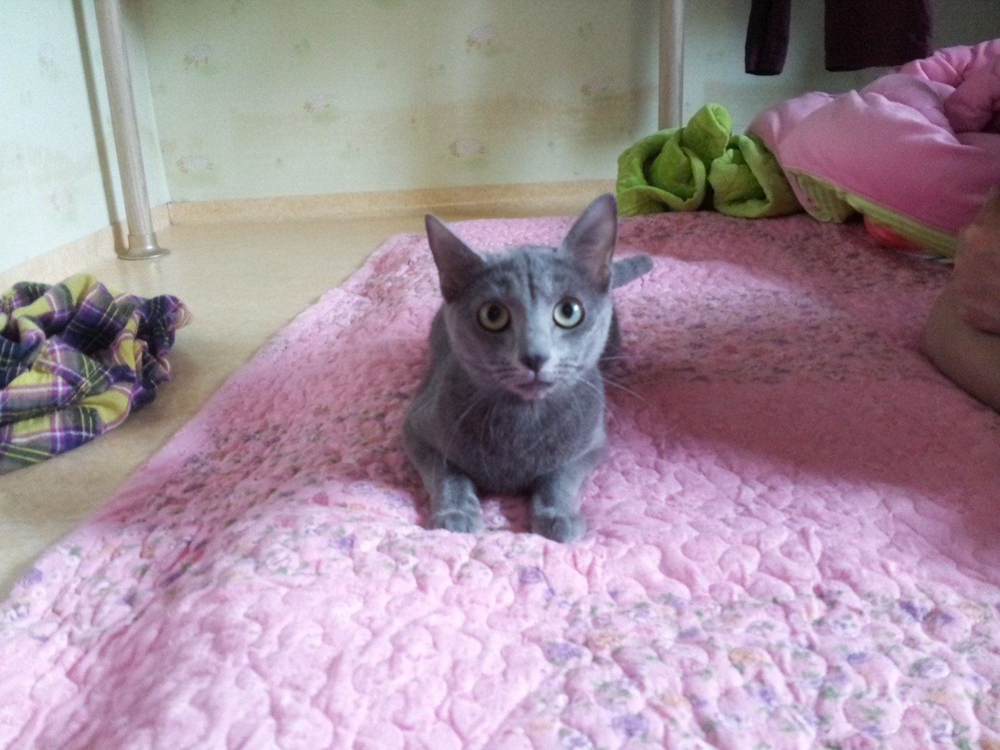 20140515_175315.jpg