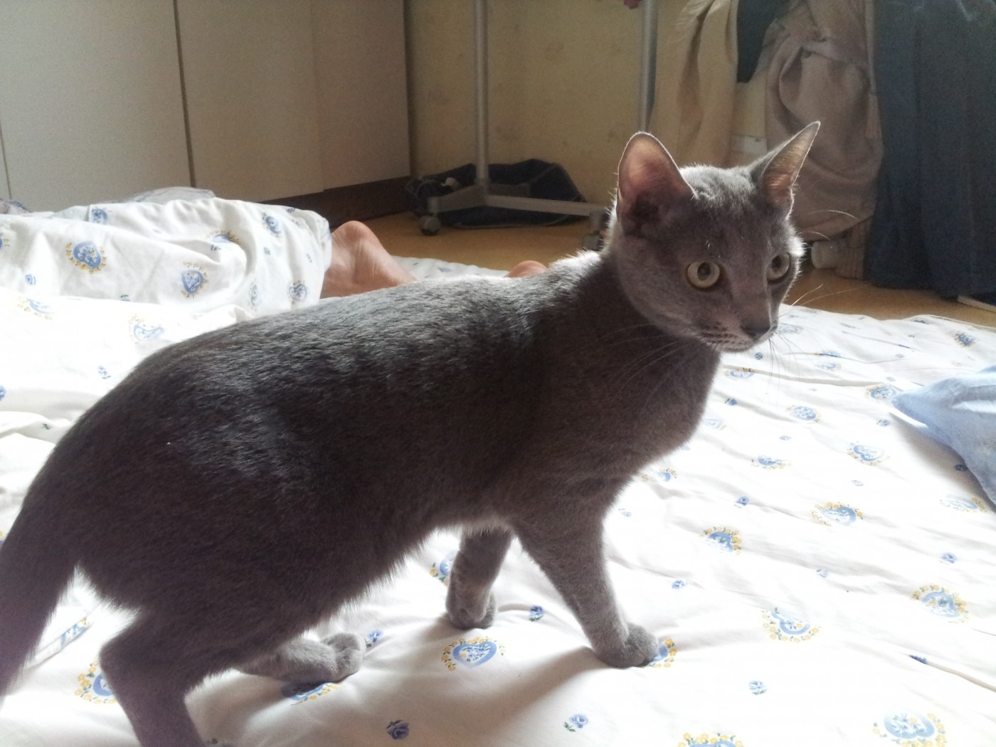 20140515_175412.jpg