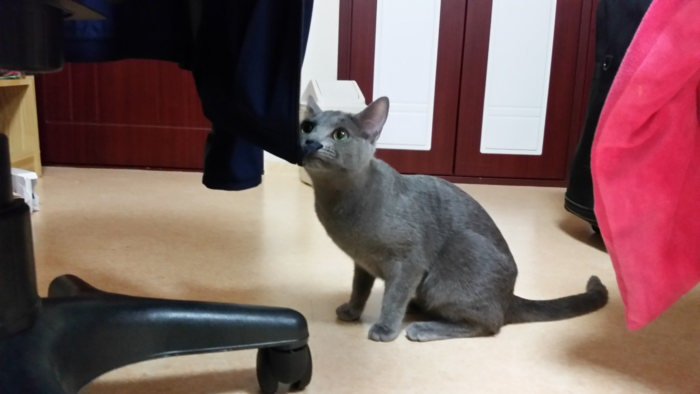 고3.jpg