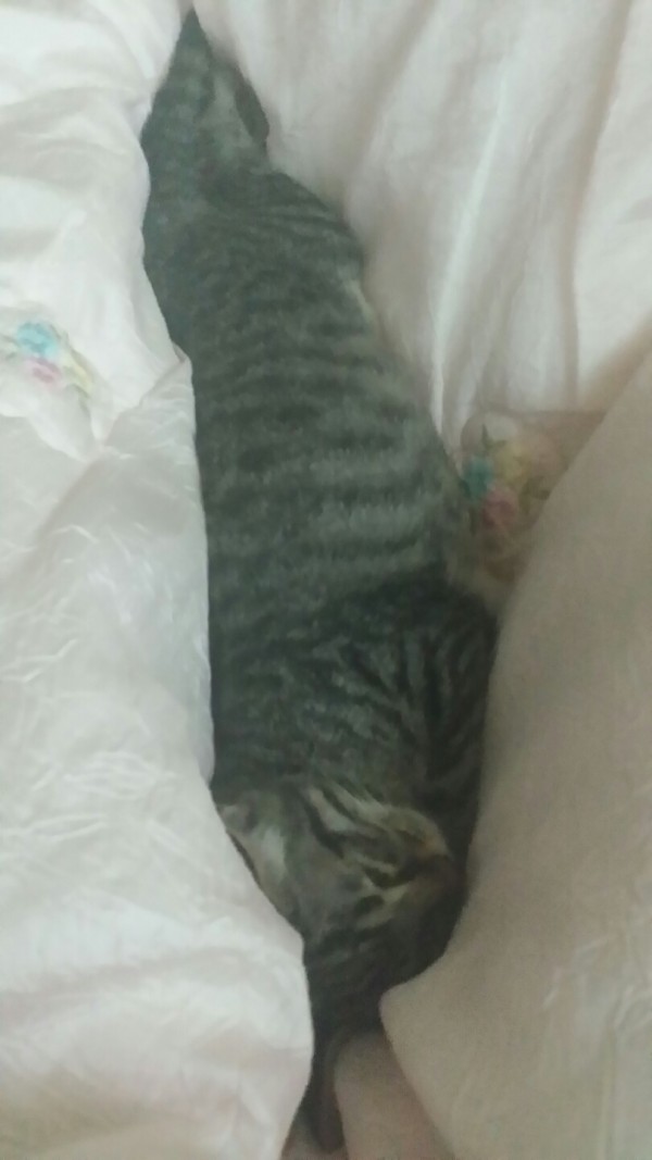 비야3.jpg