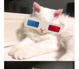 15회_마카사진.jpg