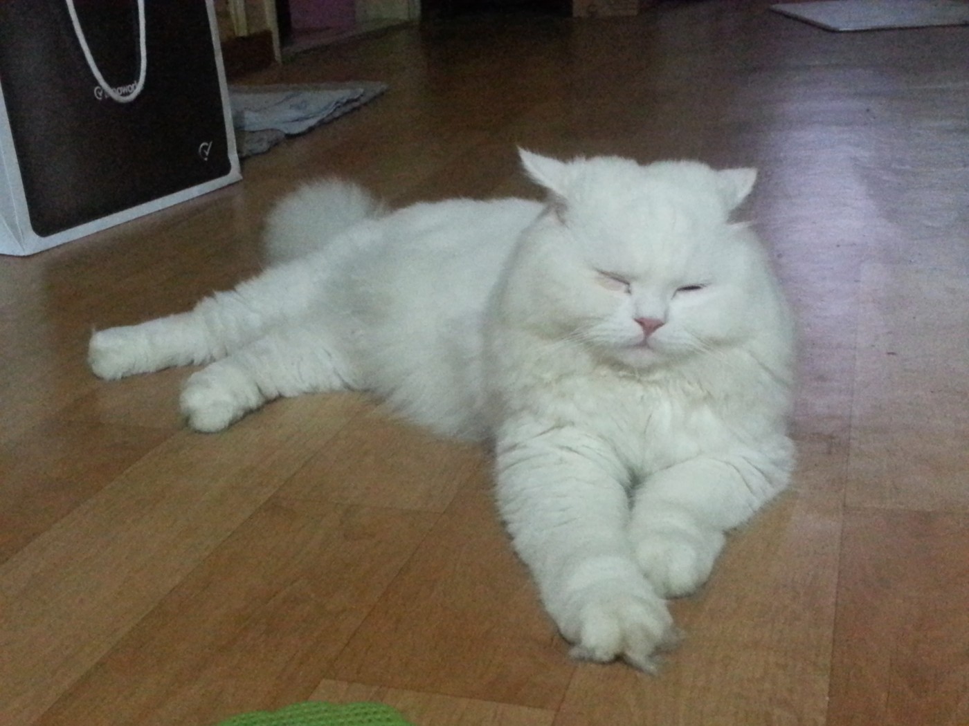 20130731_184602.jpg