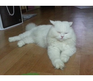 20130731_184602.jpg