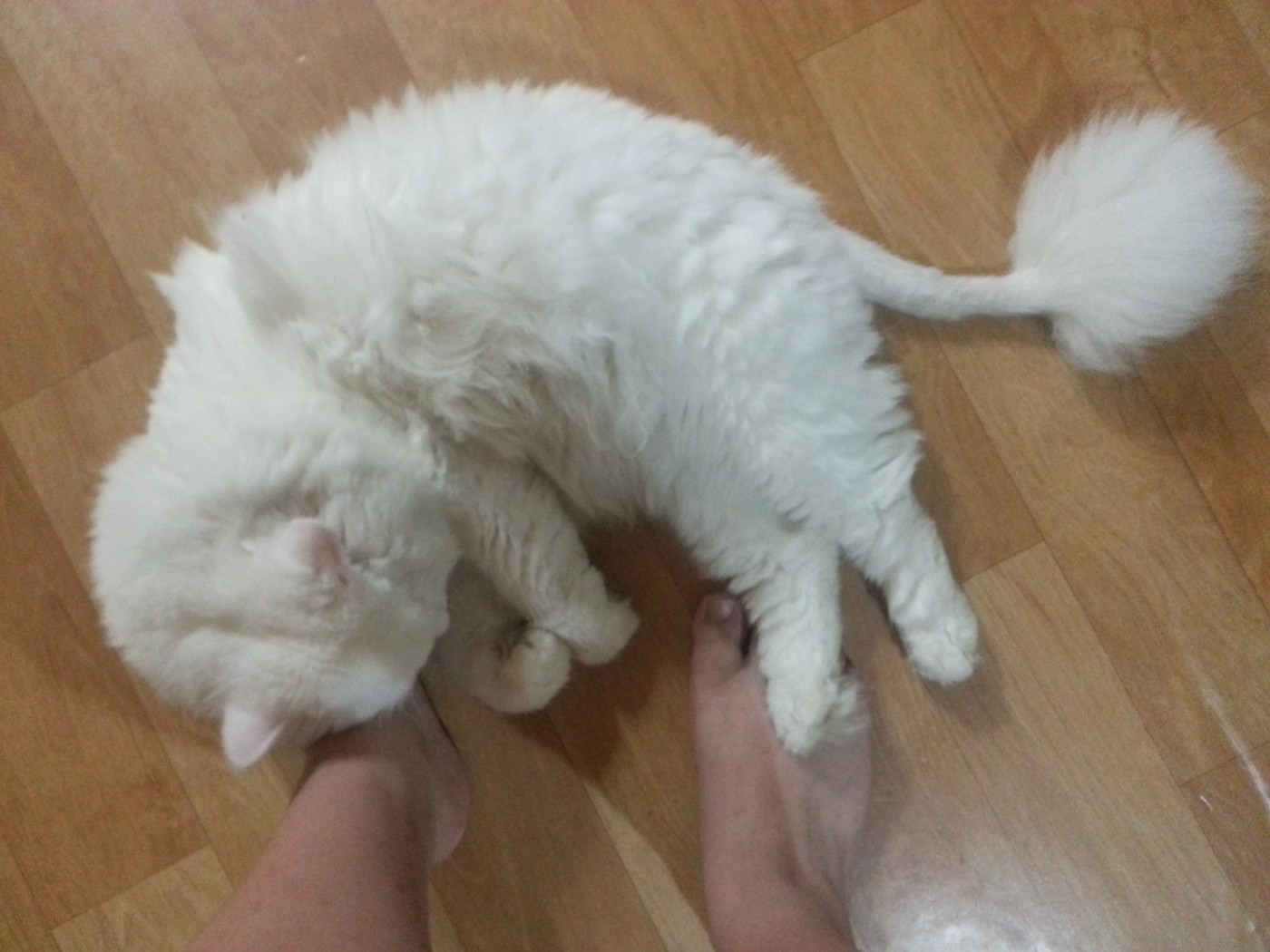 20130731_233023.jpg