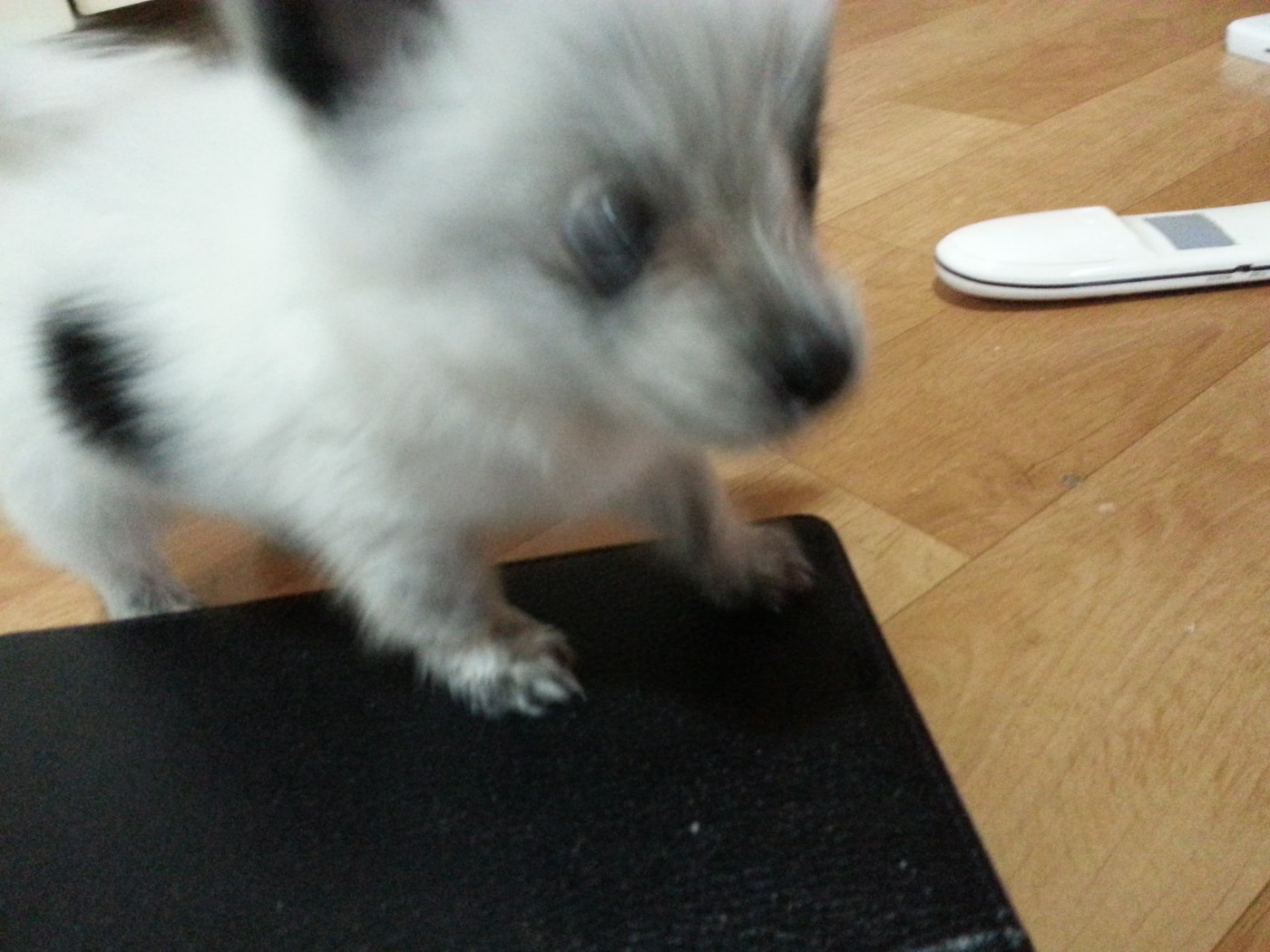 20130611_070724.jpg