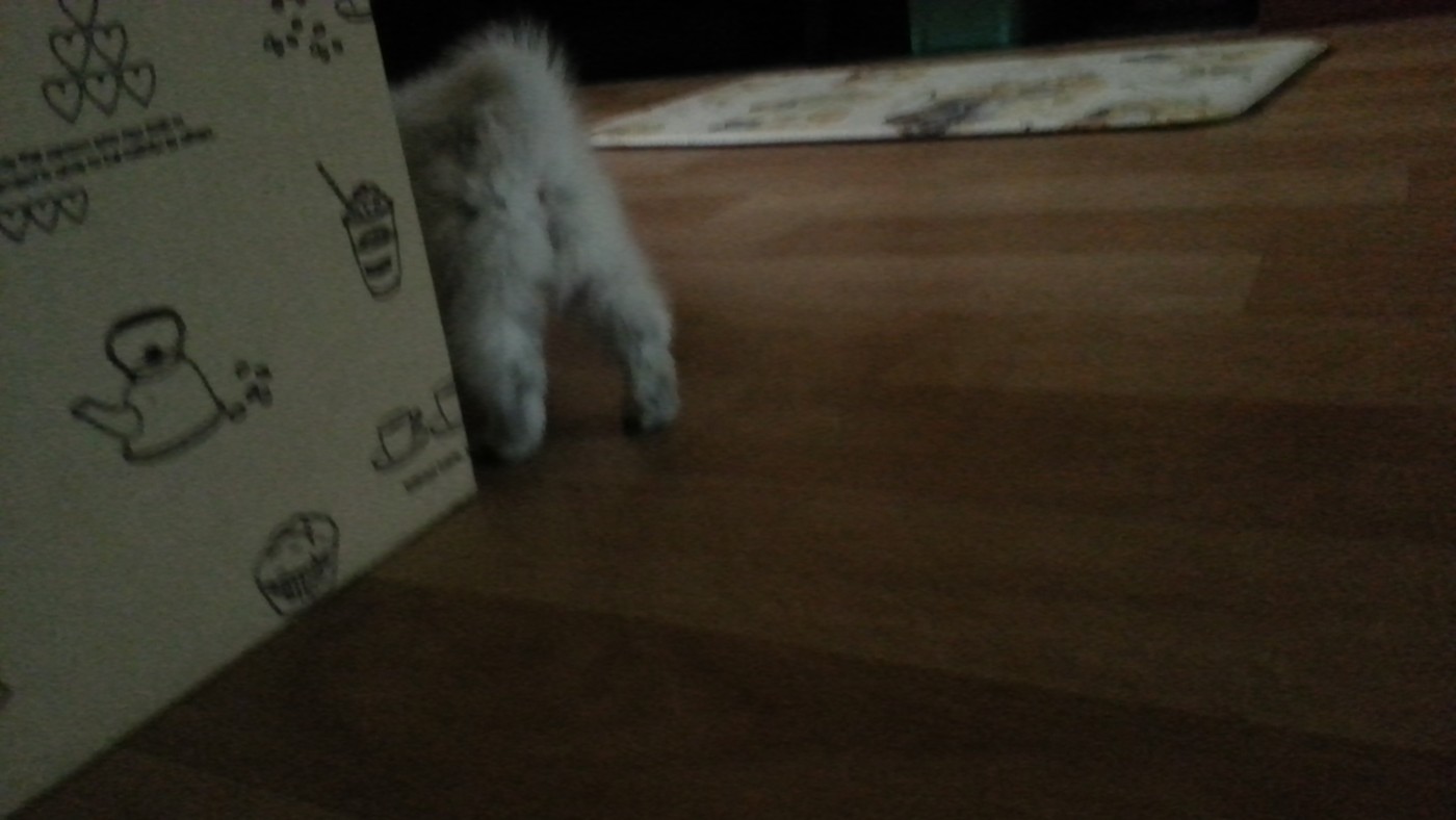 20130611_071633.jpg