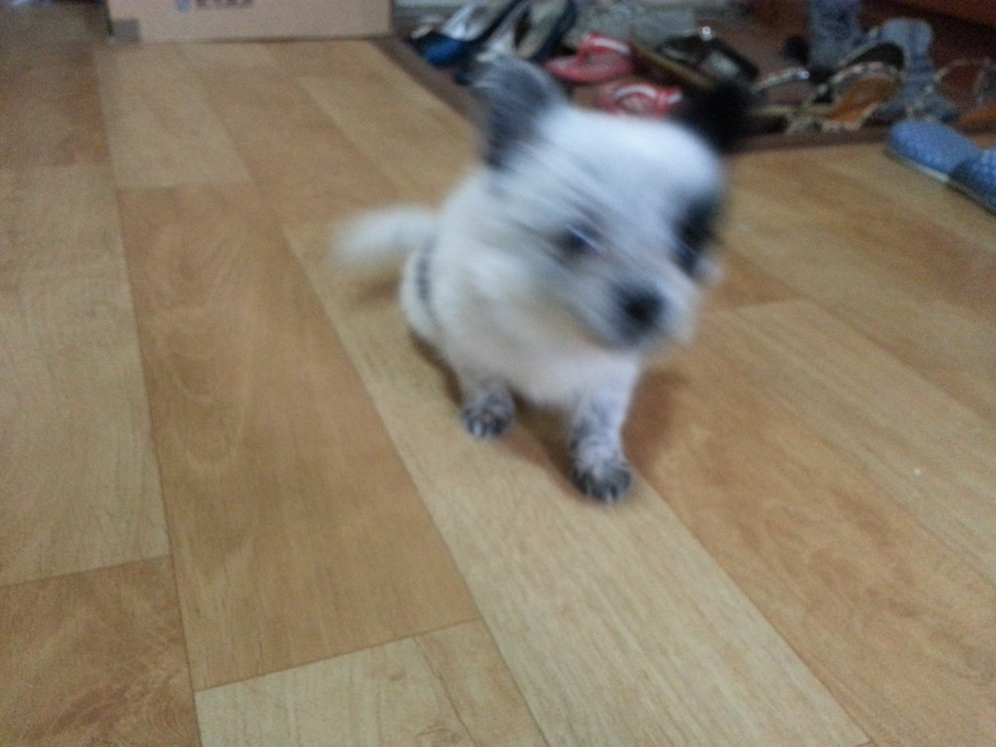 20130611_071928.jpg