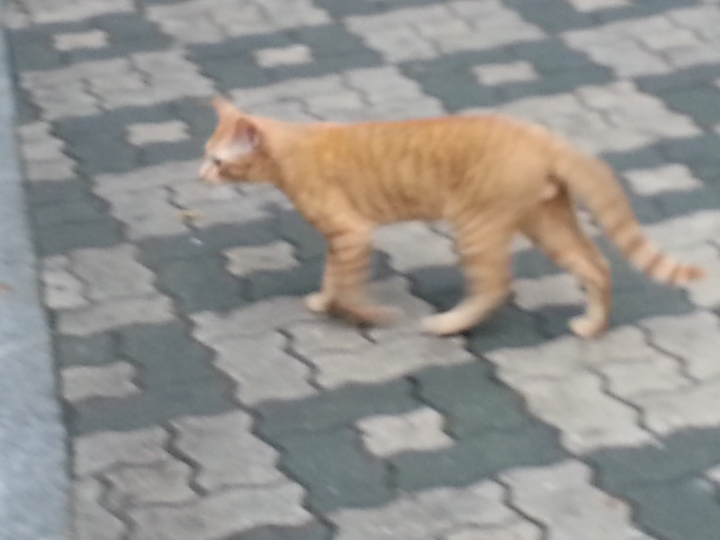 20130528_084553.jpg