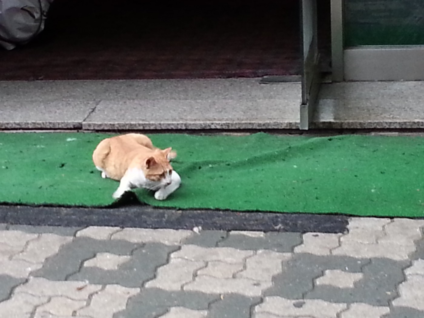 20130528_084607.jpg