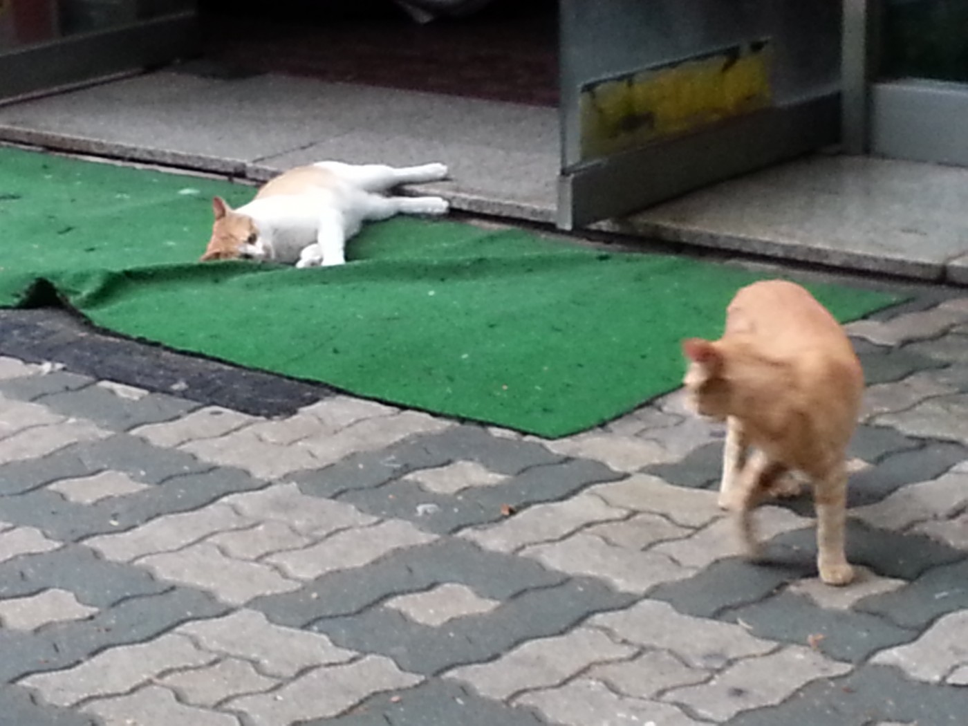 20130528_084648.jpg