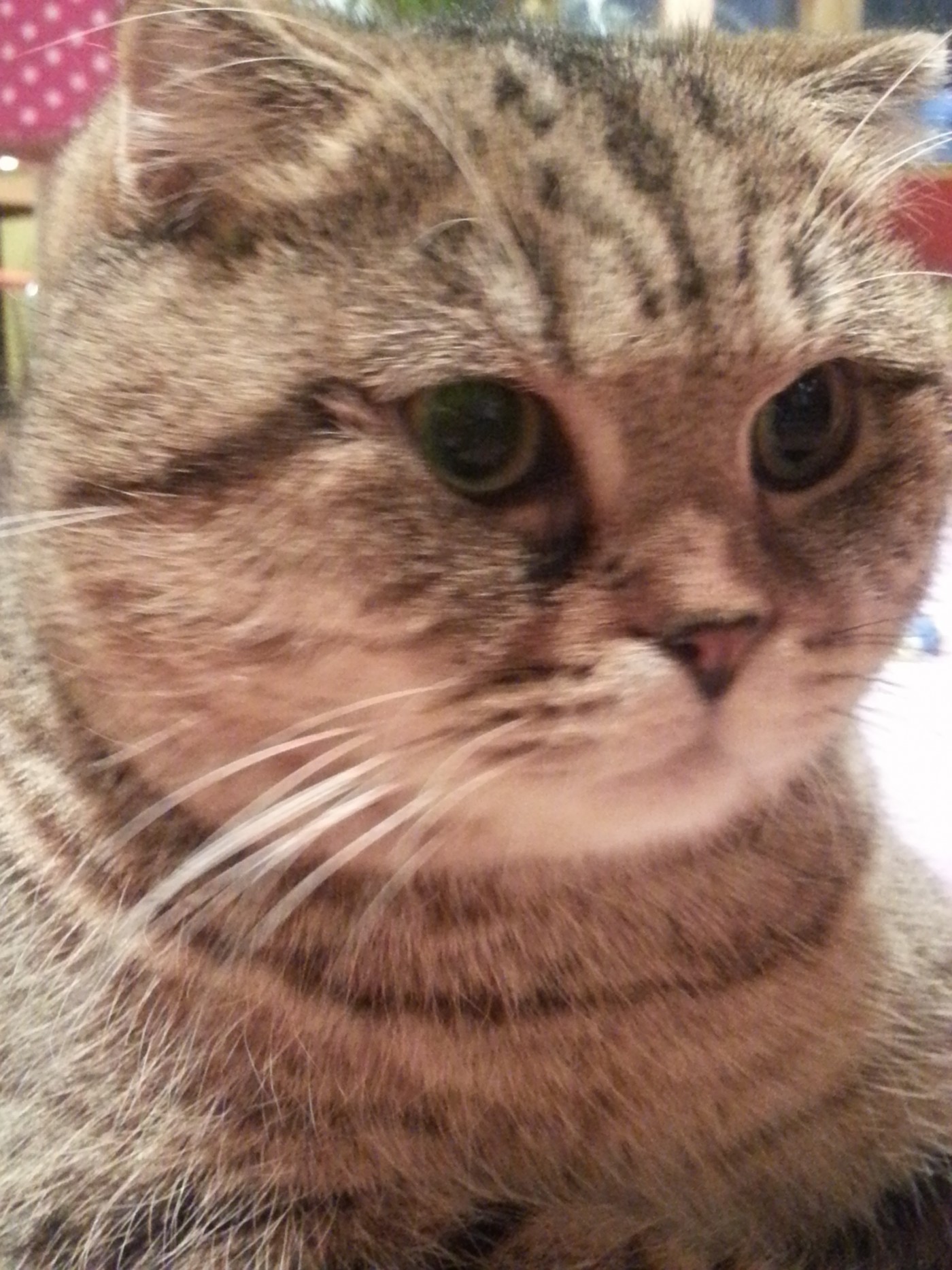 20130703_204217.jpg