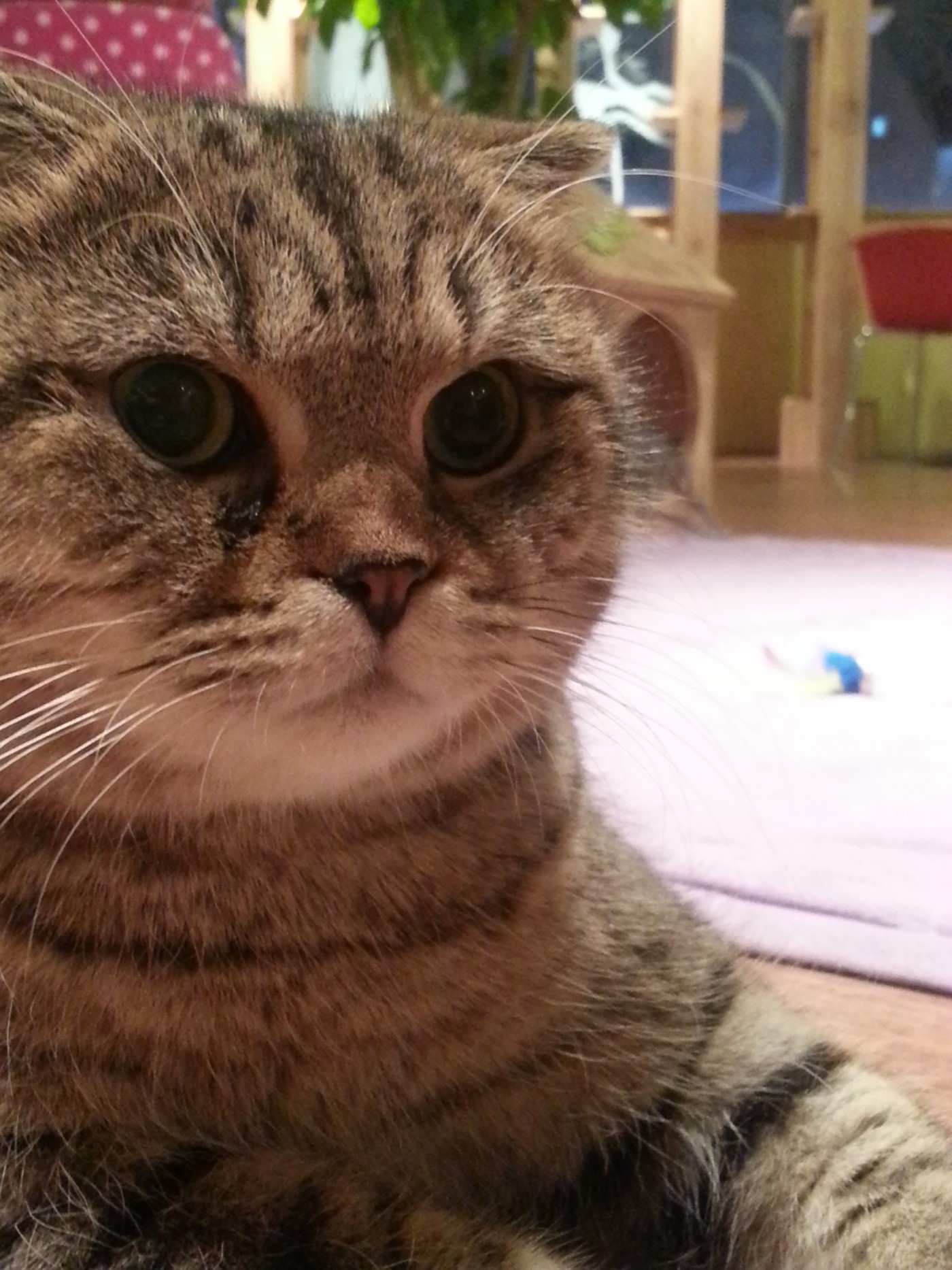 20130703_204223.jpg