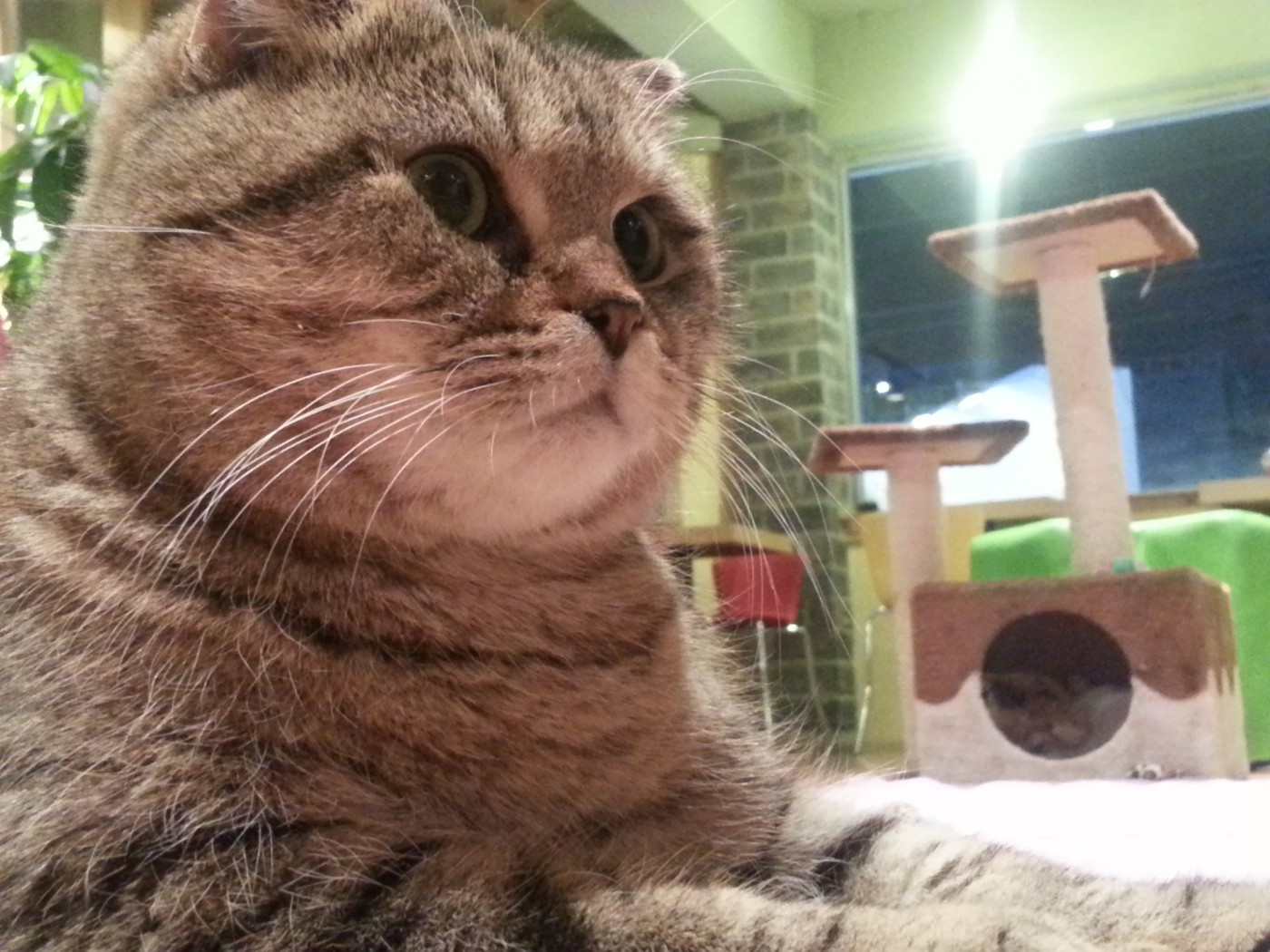 20130703_204230.jpg