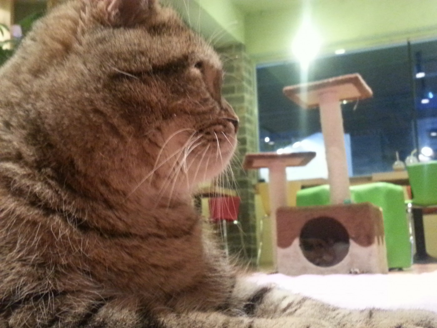 20130703_204233.jpg