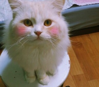 KakaoTalk_20140607_205207384.jpg