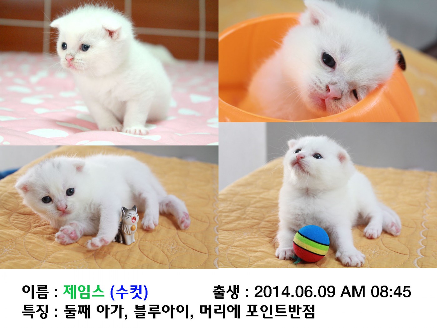 제임스.jpg