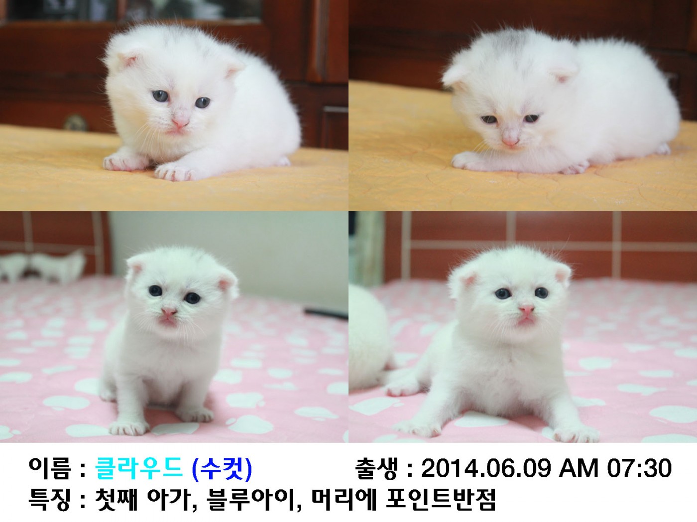 클라우드.jpg