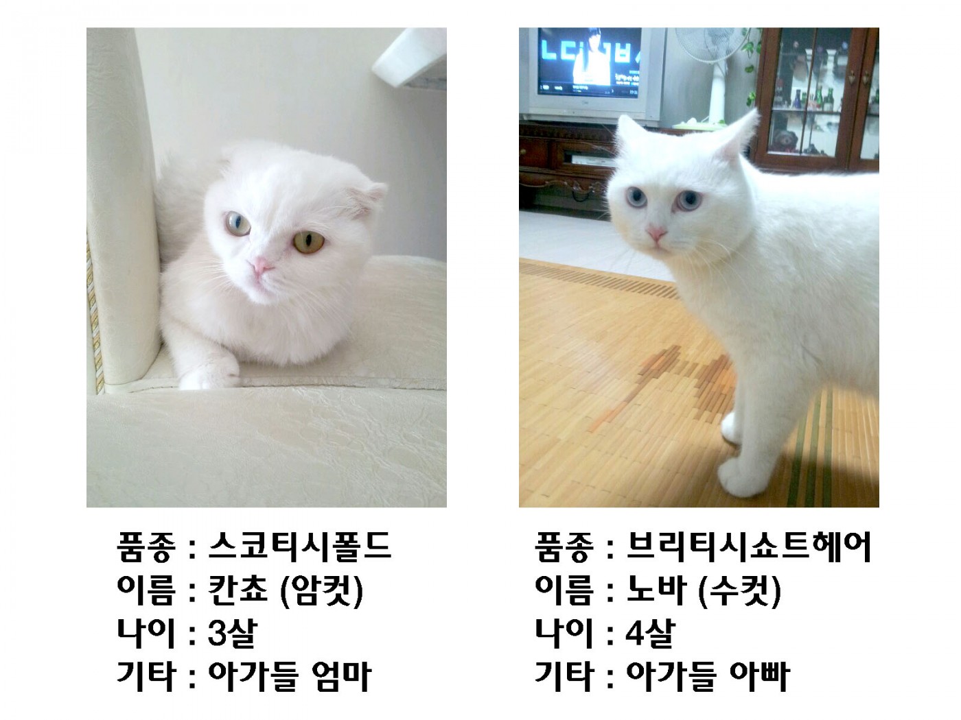 엄마아빠.jpg