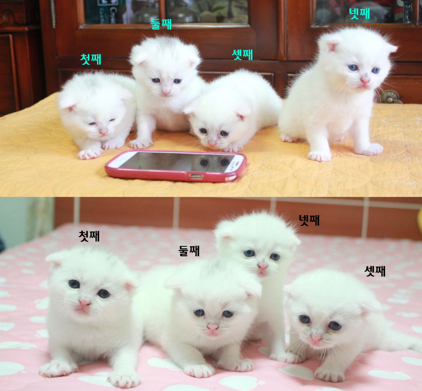 전체샷.jpg