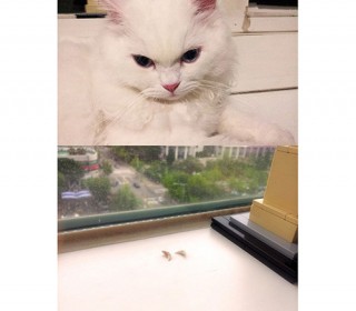 18화_마카사진.jpg
