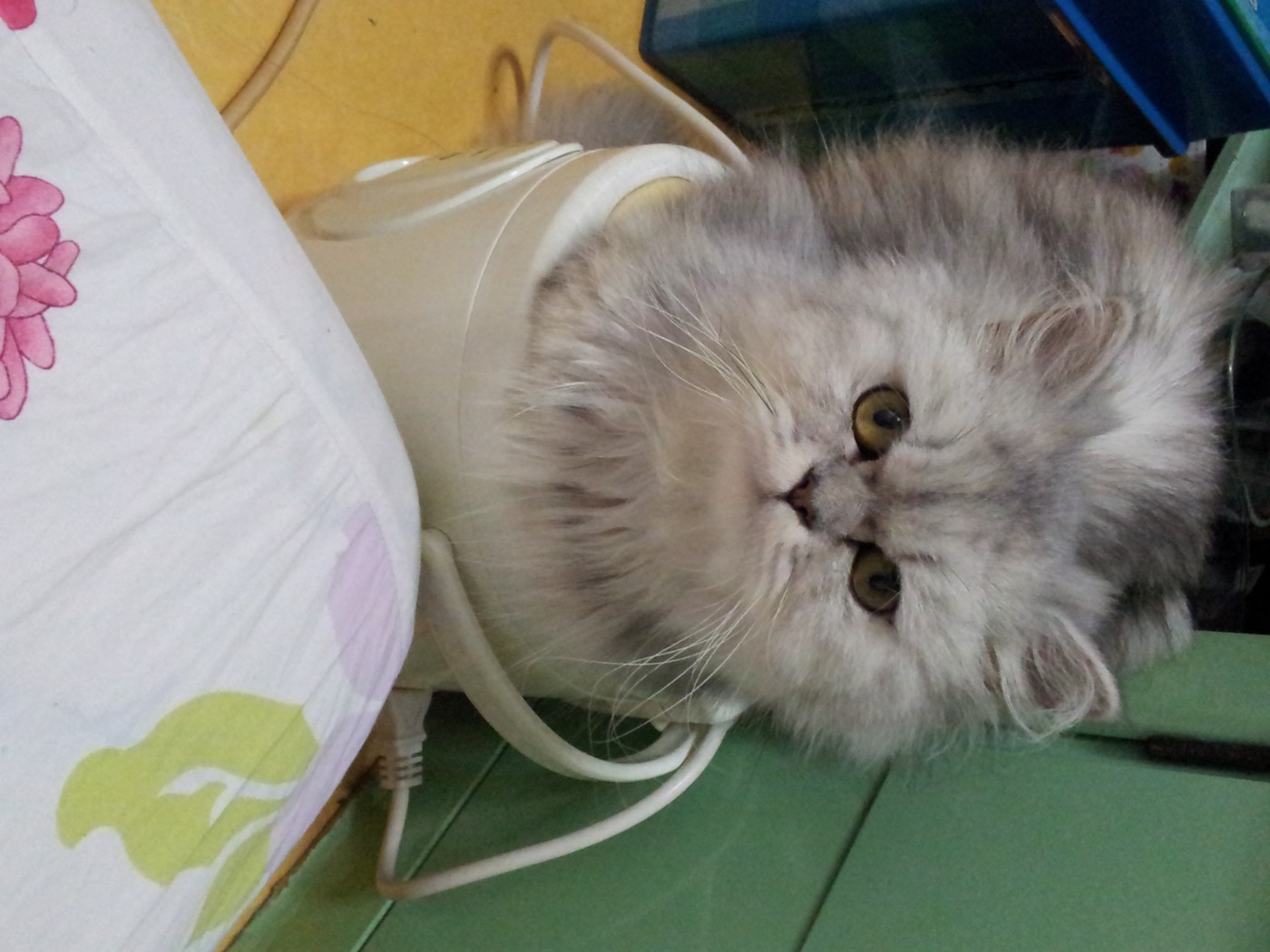 20140622_144056.jpg
