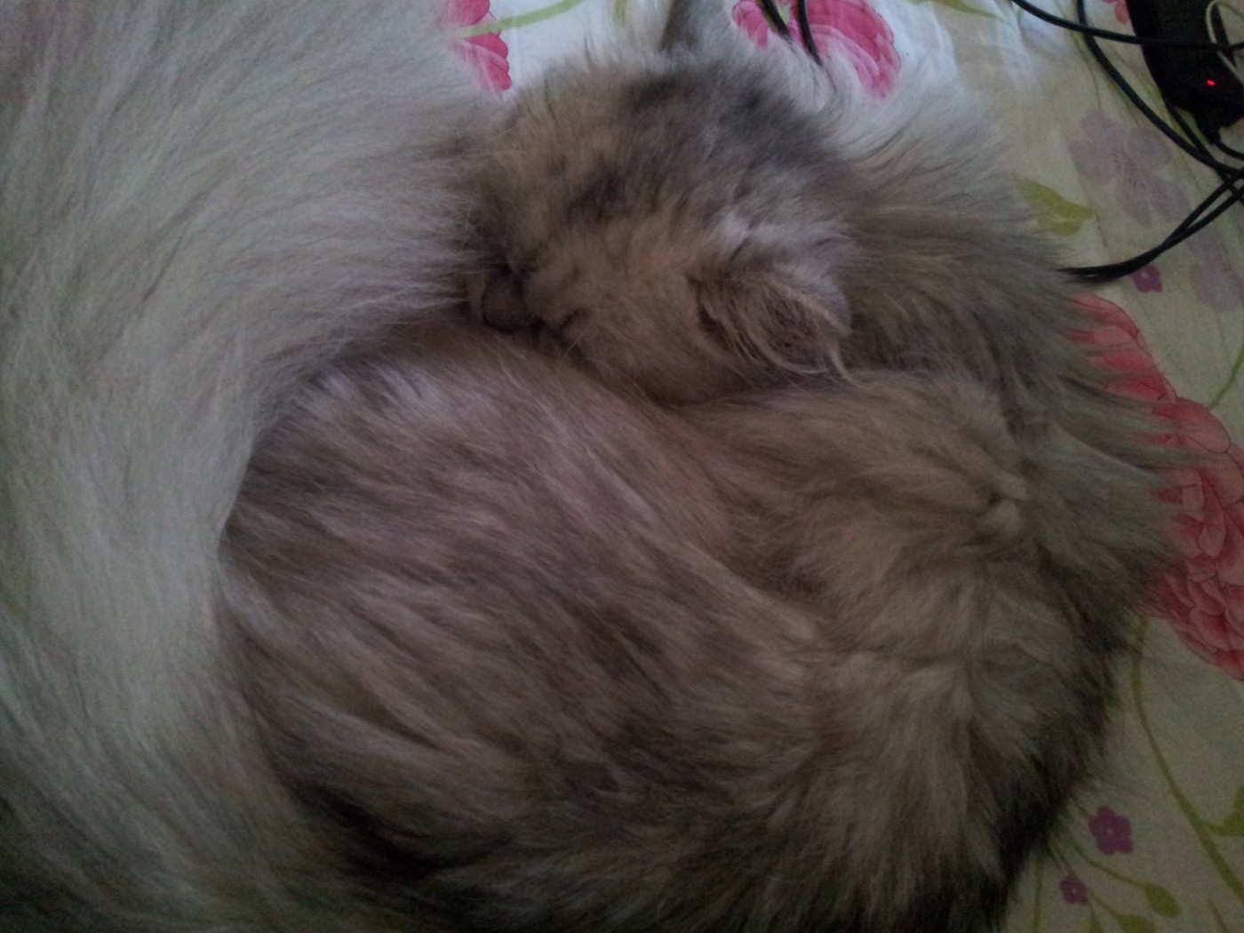 20140622_102023.jpg