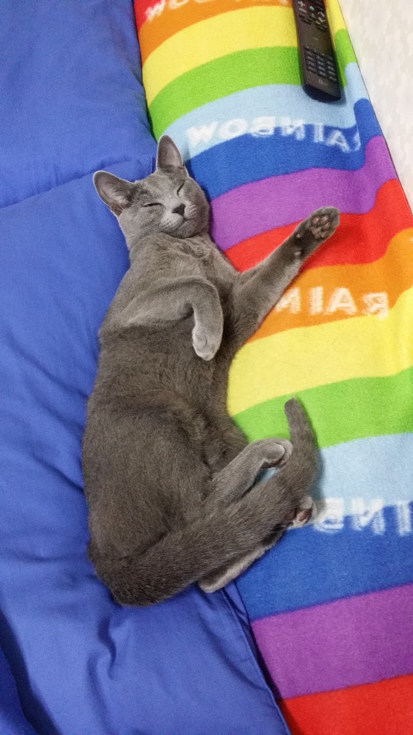 20140611_001549.jpg