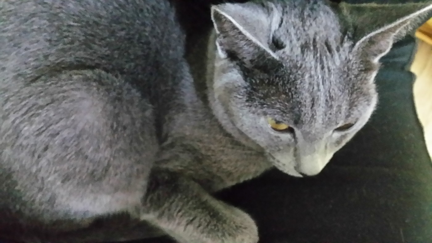 20141027_222143.jpg