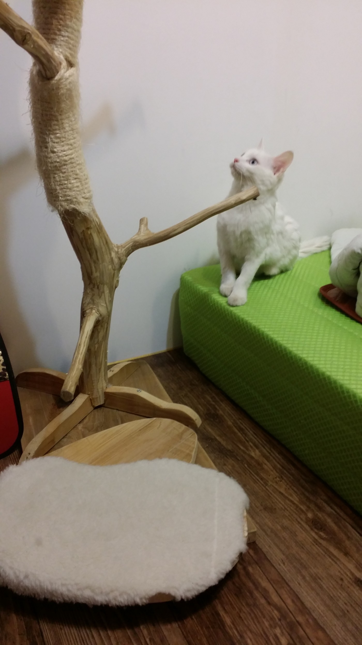 20141214_011836.jpg