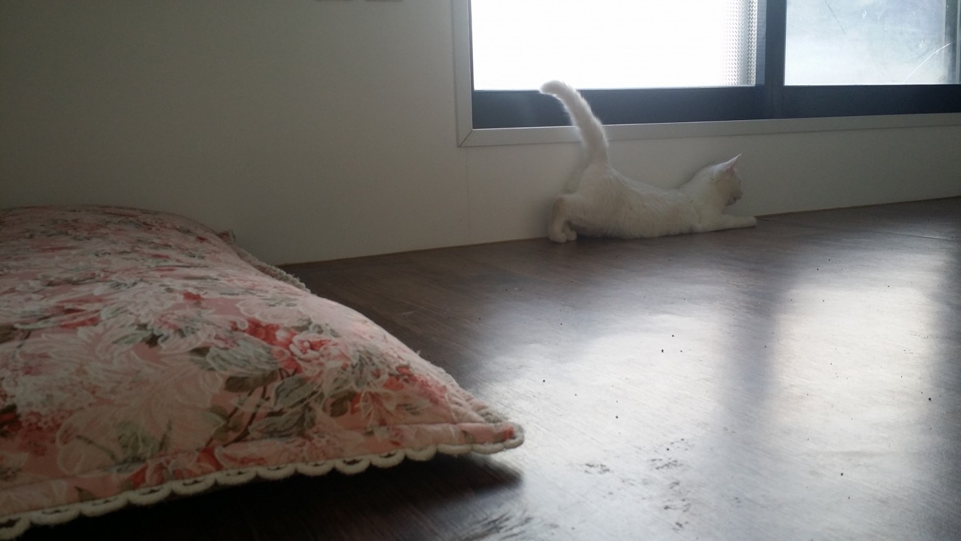 20141226_164831.jpg