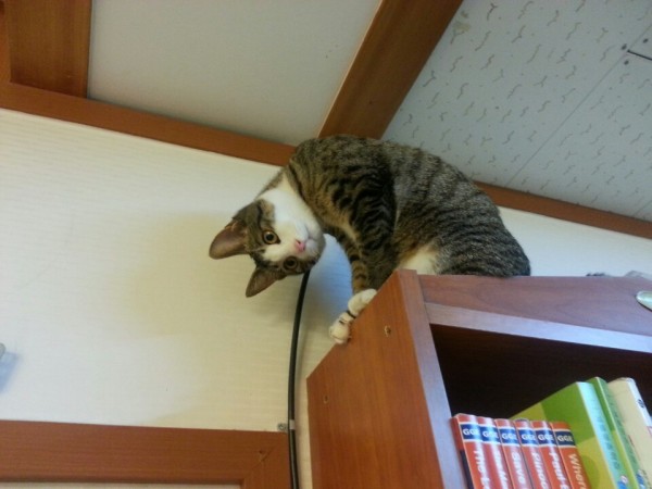 KakaoTalk_20150316_155908100.jpg